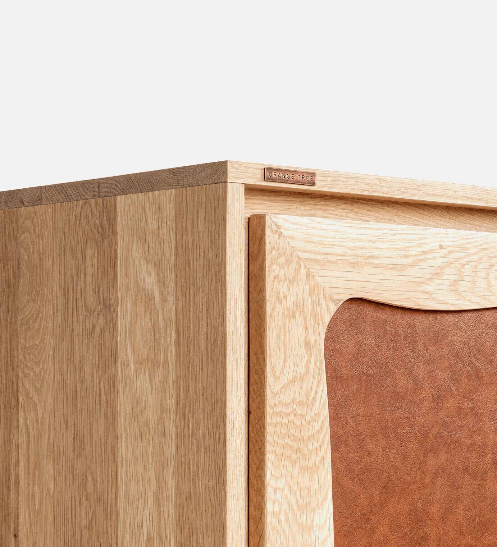 Evoric Solid Wood Contemporary Cabinet with Spacious Compartments - Image 2